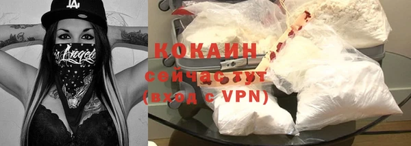 ешки Аркадак