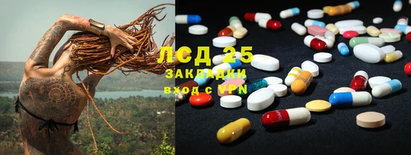 индика Ладушкин
