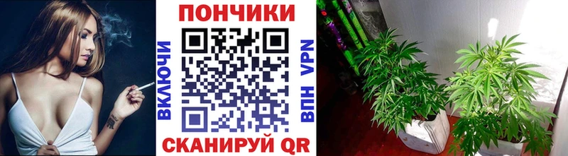 Бошки марихуана планчик  хочу   blacksprut рабочий сайт  Багратионовск 